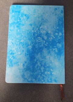 Sea turtle journal