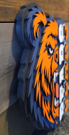 Chicago Bears sign