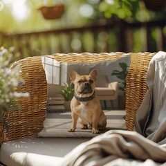 Indoor/Outdoor Pillow - Personalized