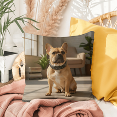Indoor/Outdoor Pillow - Personalized
