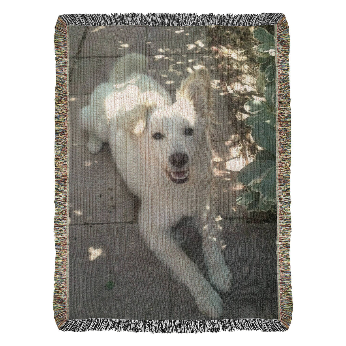 Photo Heirloom Woven Blanket - Lesley B